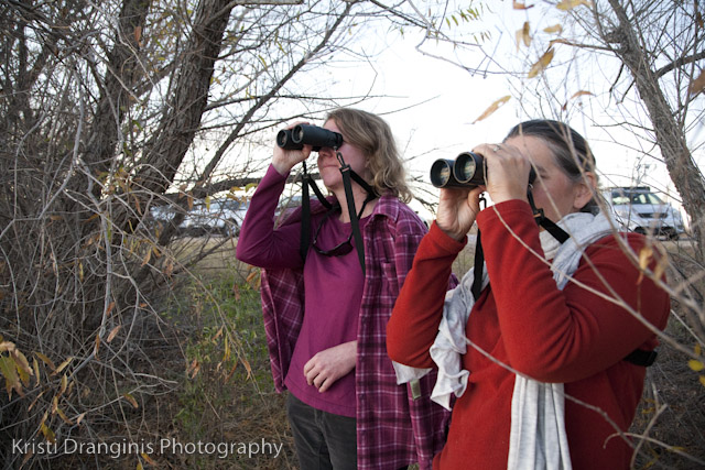 Women watching birds through binoculars. trees in the backbackground.