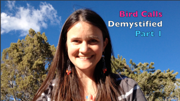 Bird Calls Demystified – Part 1