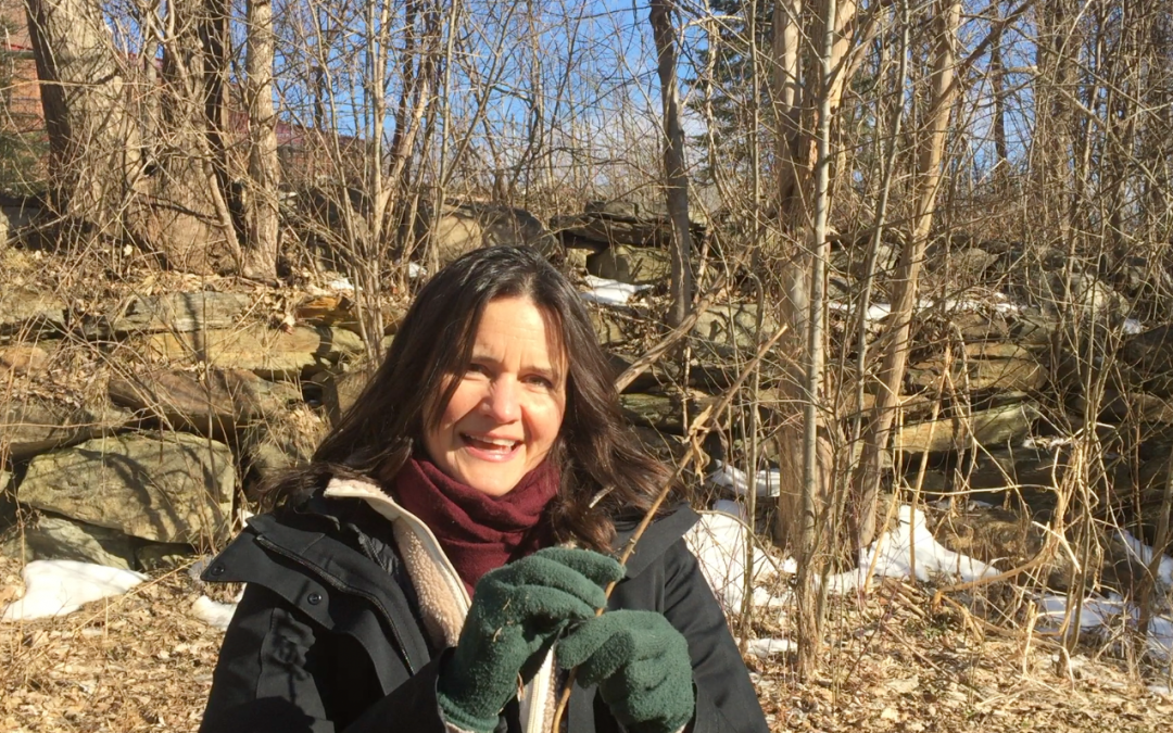 How to Feed Birds in the Winter, Without Having to Buy Loads of Birdseed